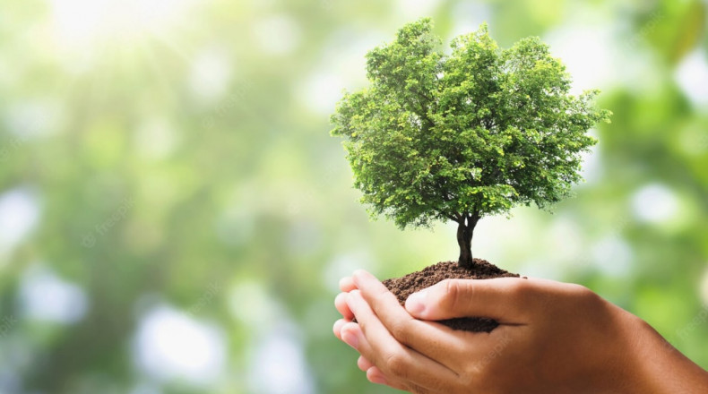 o'rmonchilik engineering